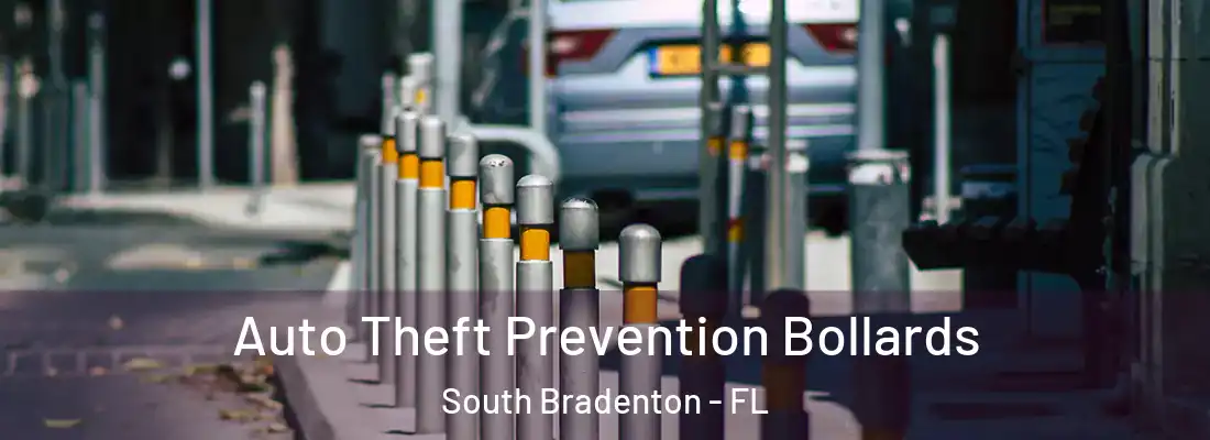  Auto Theft Prevention Bollards South Bradenton - FL