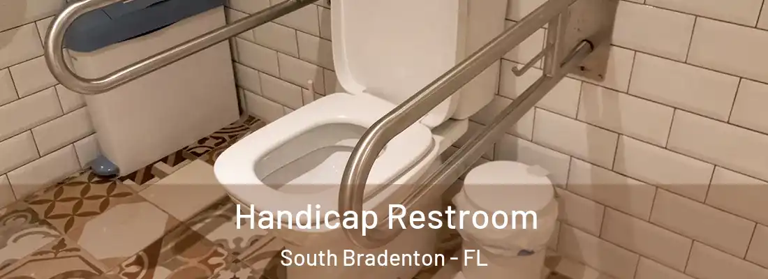  Handicap Restroom South Bradenton - FL