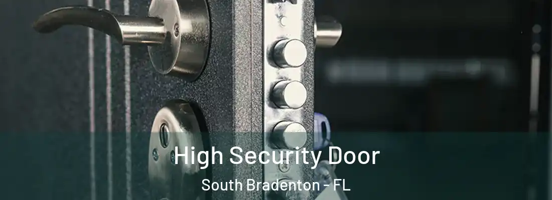  High Security Door South Bradenton - FL